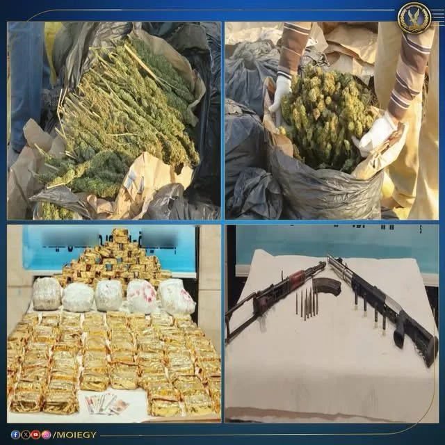 «الداخلية» تداهم «مزرعة السموم» في الإسماعيلية.. ضبط 55 طن مخدرات و«حشيش» بمليار ونصف جنيه 3 - جريدة الجمهورية WhatsApp Image 2025 09 24 at 4.20.55 PM - جريدة الجمهورية