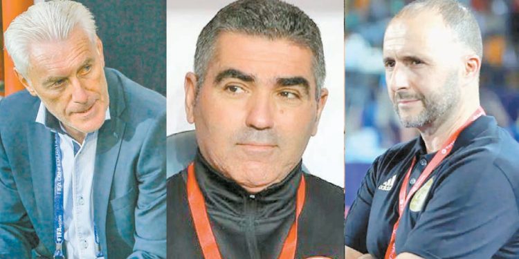 المدرب الوطنى.. «يكسب»!