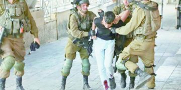 IMG 20240115 WA0029 - جريدة الجمهورية