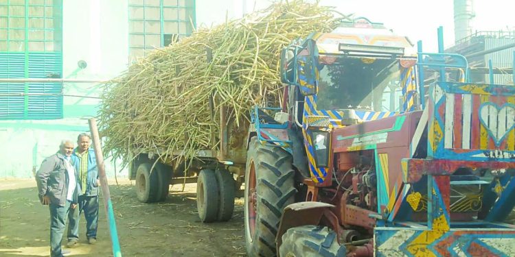 التموين: المصانع تستقبل 7 ملايين طن من قصب السكر لفتح كميات إضافية بالأسواق 1 - جريدة الجمهورية لقجع والركراكى يضعان مجلس علام فى ورطة