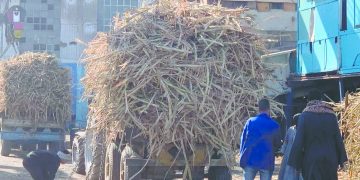 جنوب‭ ‬أفريقيا‭ ‬يسعى‭ ‬لتصحيح‭ ‬المسار‭ ‬أمام‭ ‬ناميبيا‭ ‬العنيد