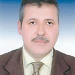 د. عبدالعزيز السيد