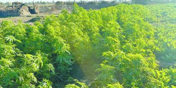 «الداخلية» : أجهزة الأمن تلاحق الجريمة الجنائية والاقتصادية