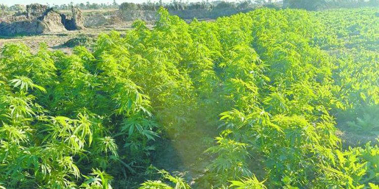 «الداخلية» : أجهزة الأمن تلاحق الجريمة الجنائية والاقتصادية 1 - جريدة الجمهورية «الداخلية» : أجهزة الأمن تلاحق الجريمة الجنائية والاقتصادية