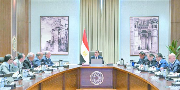 مدبولى يتابع جهود توطين صناعة الحرير