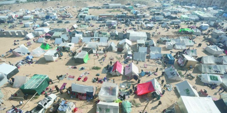 أميرة العسولى امرأة هزمت اسرائيل وحدها