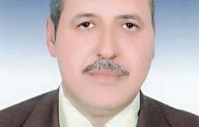 د. عبدالعزيز السيد