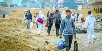 فيوتشر يبحث عن الفوز الغائب