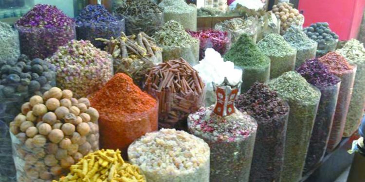 ربيعة الأعلى تقييما.. و«الأناكوندا» يواصل التوهج