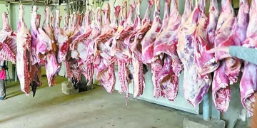 IMG-20240307-WA0088