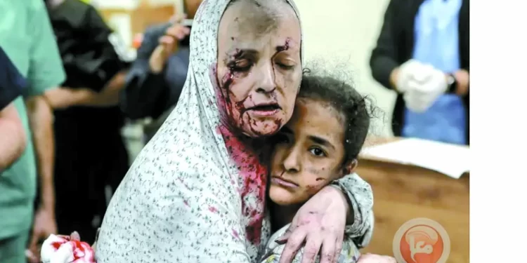 30878 شهيداً.. و72402 مصاب.. و«الدموع لا تجف» 1 - جريدة الجمهورية IMG-20240309-WA0018