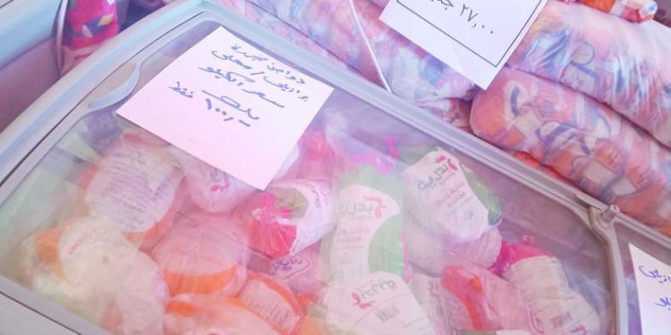 الزمالك يسعى للتعويض.. أمام الجونة العنيد