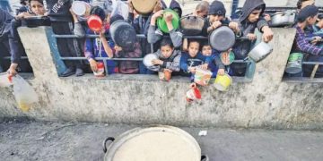 الزمالك يسعى للتعويض.. أمام الجونة العنيد