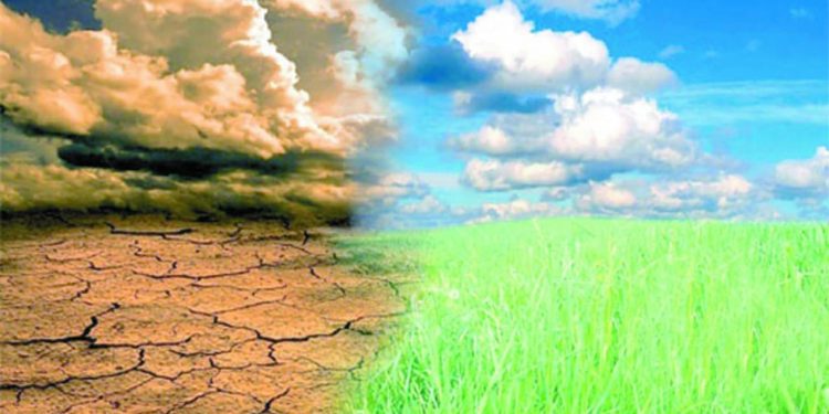 الزمالك يسعى للتعويض.. أمام الجونة العنيد