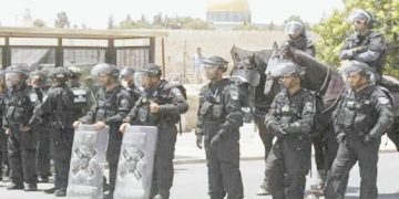 الزمالك يسعى للتعويض.. أمام الجونة العنيد