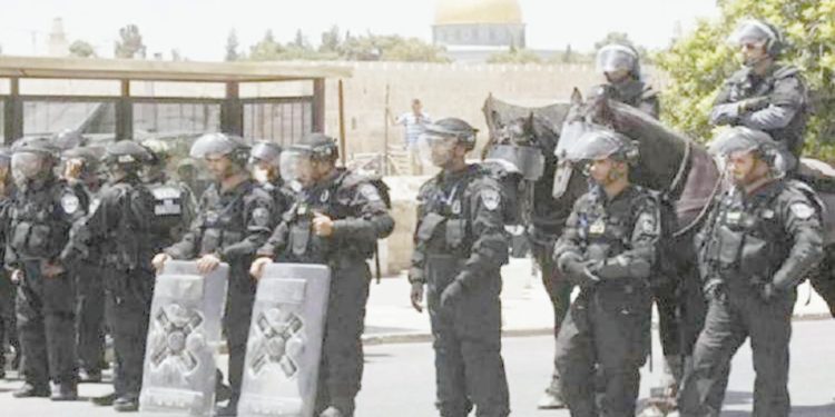 الزمالك يسعى للتعويض.. أمام الجونة العنيد