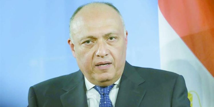 شكرى يبحث جهود وقف إطلاق النار وتسهيل إنفاذ المساعدات للقطاع