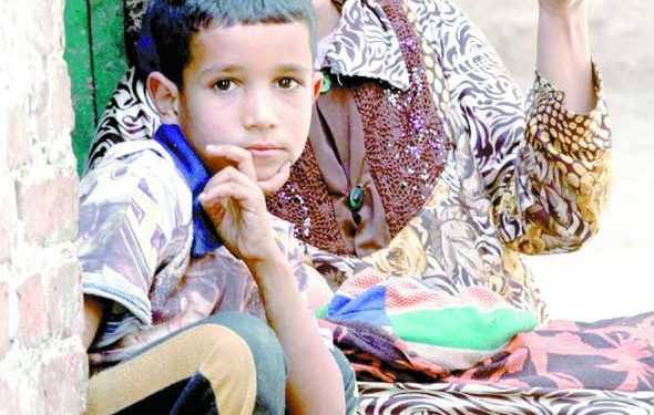 «حواء 2024».. مساواة.. وتنمية اقتصادية ورعاية اجتماعية