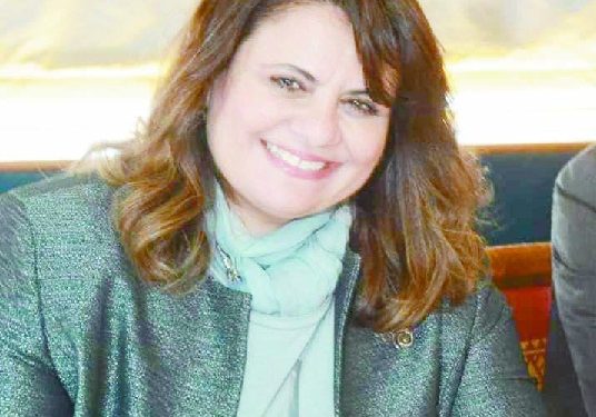 الحكومة منحت الشركات كافة الحوافز لجذب الاستثمارات الأجنبية المباشرة