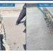 «النقل»:إجراءات جديدة للحفاظ على شبكة الطرق والكبارى  وتقليل الحوادث 6 - جريدة الجمهورية «النقل»:إجراءات جديدة للحفاظ على شبكة الطرق والكبارى  وتقليل الحوادث