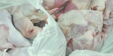 ضبط ٢٢ طن لحوم وأسماك فاسدة بالقاهرة