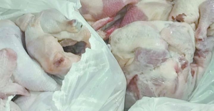 ضبط ٢٢ طن لحوم وأسماك فاسدة بالقاهرة