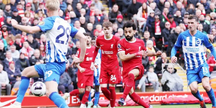 فى حضرة التاريخ