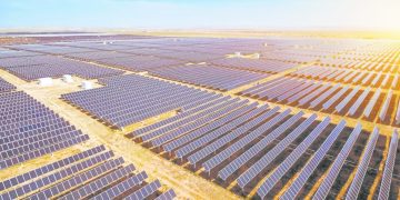 فى حضرة التاريخ