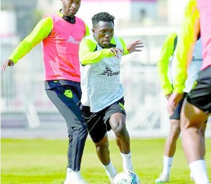 «موتيابا» .. لم يهرب! 1 - جريدة الجمهورية «موتيابا» .. لم يهرب!