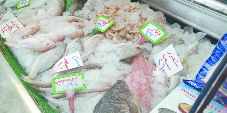 طرح كميات كبيرة من الأسماك.. «بمنافذ التموين» 1 - جريدة الجمهورية طرح كميات كبيرة من الأسماك.. «بمنافذ التموين»