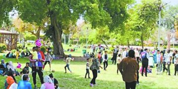 قبل مواجهة الاتحاد.. مجلس لبيب يصرف المكافآت.. وجوميز يرفض الراحة