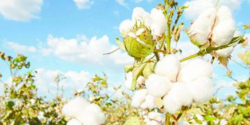 قمة الكبار.. ساخنة نار