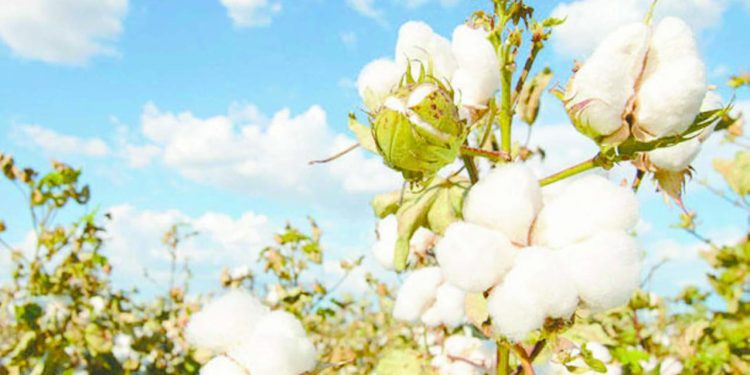 قمة الكبار.. ساخنة نار