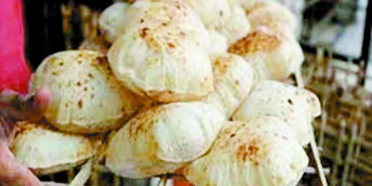 تخفيض أسعار 5 أنواع من الخبز السياحى 1 - جريدة الجمهورية تخفيض أسعار 5 أنواع من الخبز السياحى