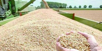 «غليان» فى الأهلى .. وصدام مع السويسرى