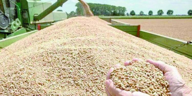 «غليان» فى الأهلى .. وصدام مع السويسرى