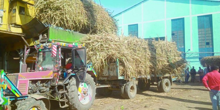 «غليان» فى الأهلى .. وصدام مع السويسرى