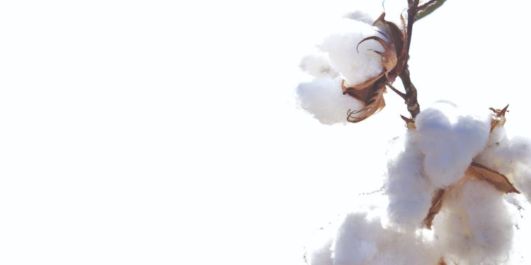 الغزل والنسيج .. «قلاع» الجمهورية الجديدة