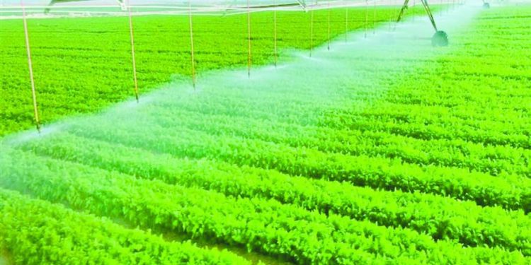 الرخصة الذهبية فرصة لدعم الاستثمارات الزراعية