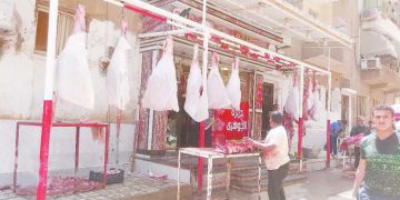 الزمالك يرفض معاقبة «شلبى».. ويصرف مكافآت للاعبين