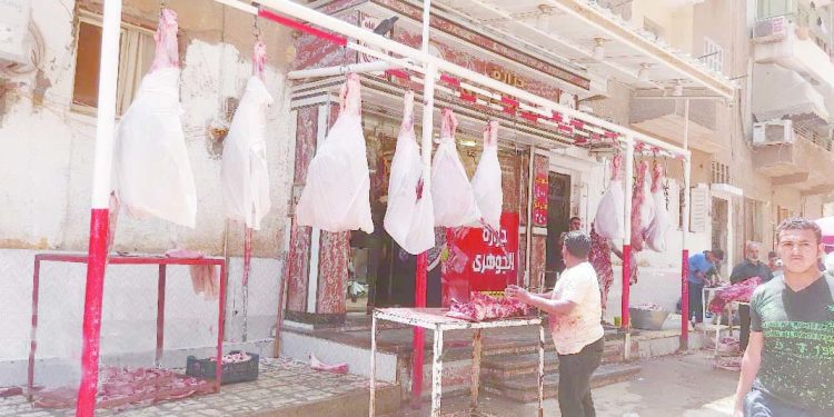 الزمالك يرفض معاقبة «شلبى».. ويصرف مكافآت للاعبين