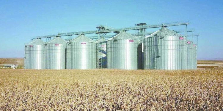 الصوامع والشون بالمحافظات تواصل استقبال القمح 1 - جريدة الجمهورية الصوامع والشون بالمحافظات تواصل استقبال القمح