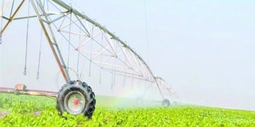 «الدلتا الجديدة».. مستقبل مصر الزراعى 