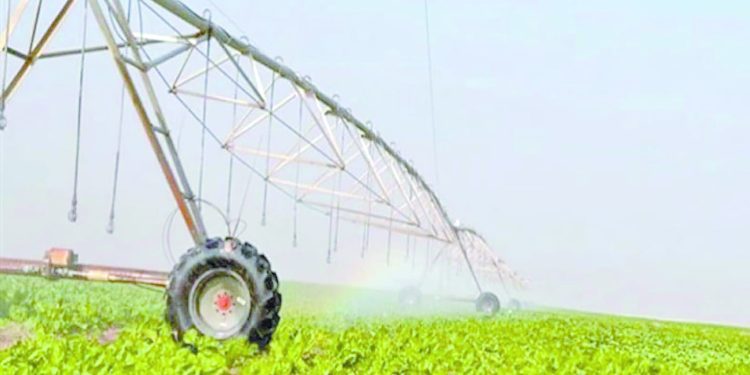 «الدلتا الجديدة».. مستقبل مصر الزراعى 1 - جريدة الجمهورية «الدلتا الجديدة».. مستقبل مصر الزراعى