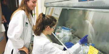 كيف يتحقق الحلم ؟