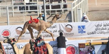 على رأس «القائمة العالمية»:«مضمار شرم الشيخ» لسباق الهجن.. يفتح المجال للسياحة الرياضية