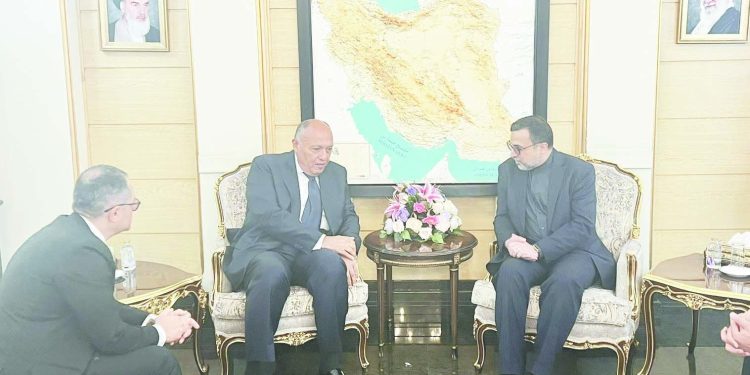 وزير الخارجية يقدم واجب العزاء  لرئيس السلطة التنفيذية المؤقت لإيران