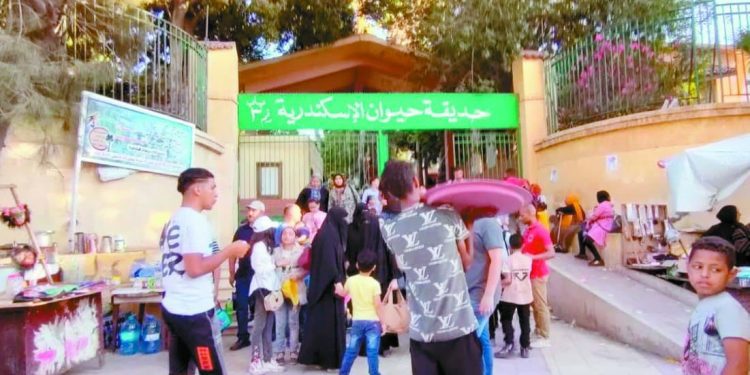 حدائق الحيوانات بالأقاليم استعدت لأعياد الربيع 1 - جريدة الجمهورية الأهلى يقترب من التجديد للقائد «معلول»