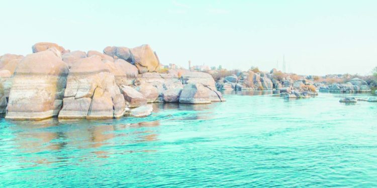 الربيع أجمل فى المحميات الطبيعية 1 - جريدة الجمهورية الأهلى يقترب من التجديد للقائد «معلول»