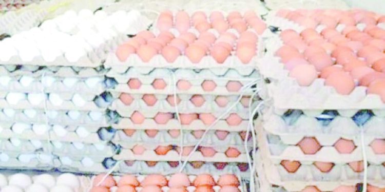 قبل ذهاب نهائى الكونفيدرالية: علاج نفسى فى الزمالك